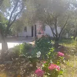 Avci Villa-fethiye 3+1 In Garden With Private Pool, 10 Minutes To The