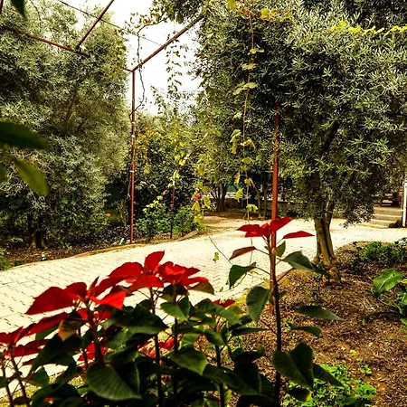 Avci Villa-fethiye 3+1 In Garden With Private Pool, 10 Minutes To The Вилла Фетхие