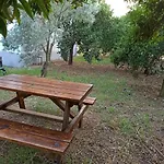 Avci Villa-fethiye 3+1 In Garden With Private Pool, 10 Minutes To The
