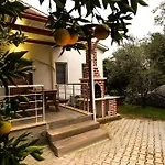 Avci Villa-fethiye 3+1 In Garden With Private Pool, 10 Minutes To The Villa Fethiye