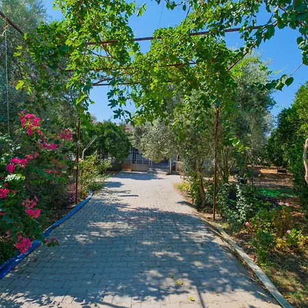 Avci Villa-fethiye 3+1 In Garden With Private Pool, 10 Minutes To The Villa *
